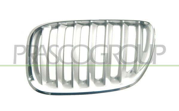 GRIGLIA RADIATORE SX-TITANIO MOD 04 > BMW X5 E53 Mod 05/00 12/06