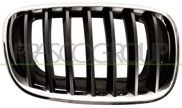 GRIGLIA RADIATORE DX-CROMATA-CROMATA-NERA BMW X6 E71 Mod 01/08 06/14