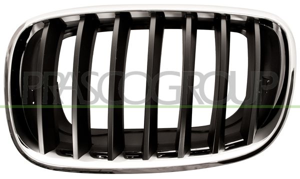 GRIGLIA RADIATORE SX-CROMATA-CROMATA-NERA BMW X6 E71 Mod 01/08 06/14