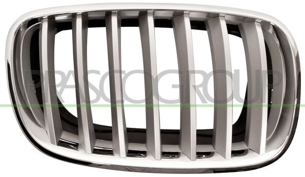 GRIGLIA RADIATORE DX-CROMATA-TITANIO BMW X6 E71 Mod 01/08 06/14