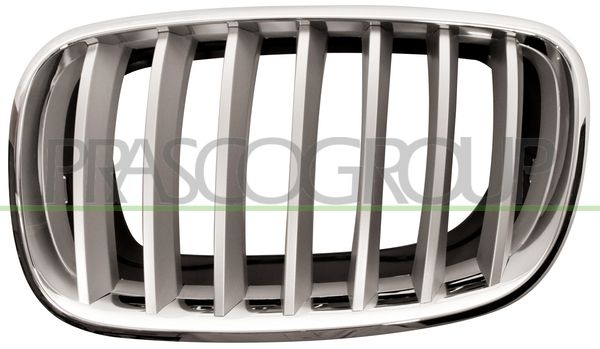 GRIGLIA RADIATORE SX-CROMATA-TITANIO BMW X6 E71 Mod 01/08 06/14