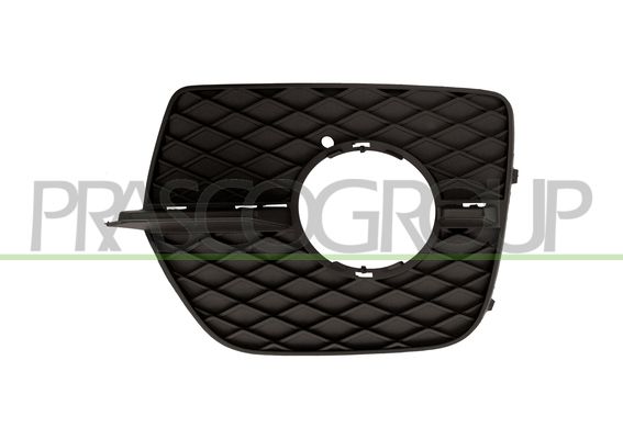 GRIGLIA SX PARAURTI ANT-NERA-CON SEDE FENDI-CON FORI MODANATURA MOD > 12 BMW X6 E71 Mod 01/08 06/14