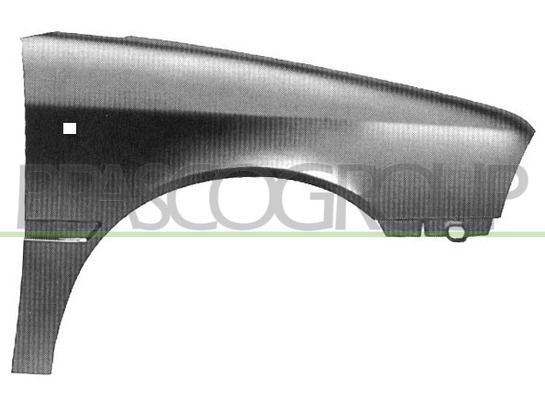 PRASCO Parafango CI0213013