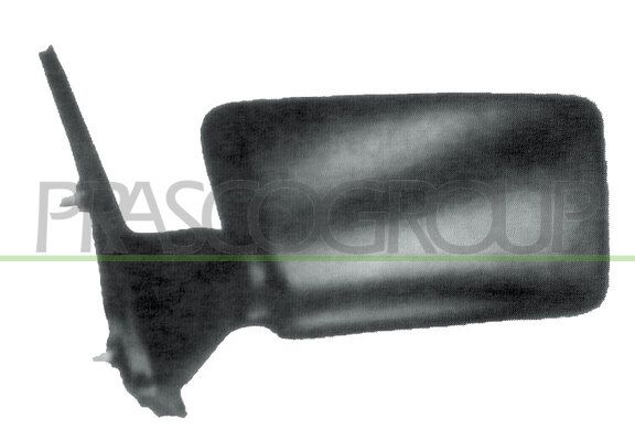 PRASCO Specchio retrovisore esterno CI0217104