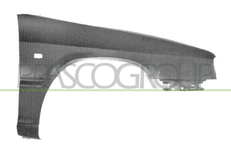 PRASCO Parafango CI0323013