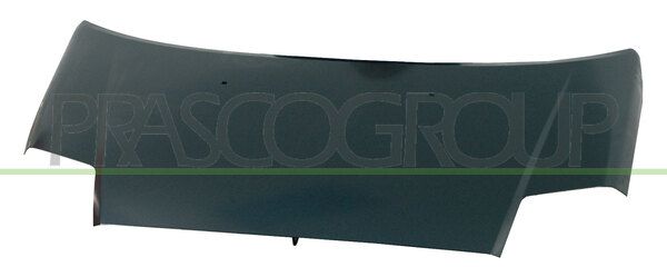 COFANO CITROEN C2 Mod 01/03 12/07