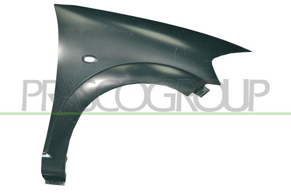 PARAFANGO ANT DX-CON FORO LUCCIOLA CITROEN C3 Mod 04/02 09/05