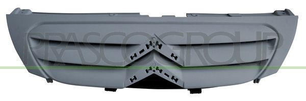GRIGLIA RADIATORE-CON PRIMER CITROEN C3 Mod 10/05 08/09