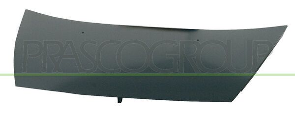 COFANO CITROEN C3 Mod 10/05 08/09