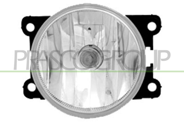 FENDINEBBIA DX/SX CITROEN C3 PICASSO Mod 01/09 12/11