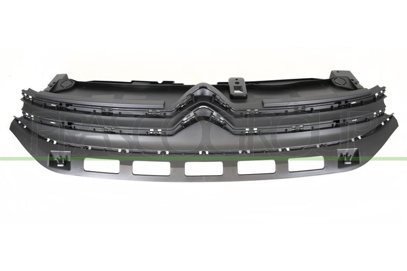 GRIGLIA RADIATORE-NERA CITROEN C3 Mod 09/16 09/20