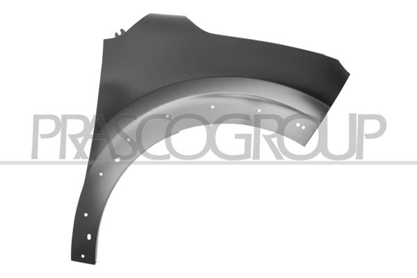 PARAFANGO ANT DX-CON FORI PARAFANGHINO CITROEN C3 Mod 09/16 09/20