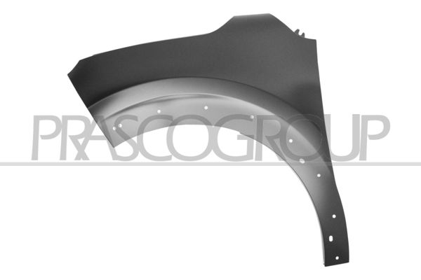 PARAFANGO ANT SX-CON FORI PARAFANGHINO CITROEN C3 Mod 09/16 09/20