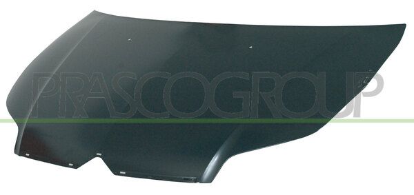 COFANO CITROEN C4 Mod 09/04 09/08