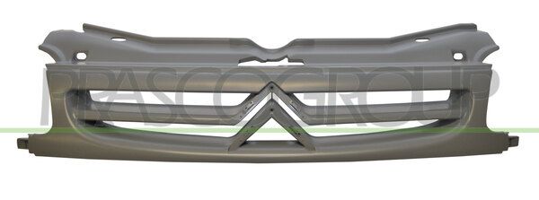 GRIGLIA RADIATORE-CON PRIMER MOD 03/99 > CITROEN BERLINGO Mod 10/96 12/02