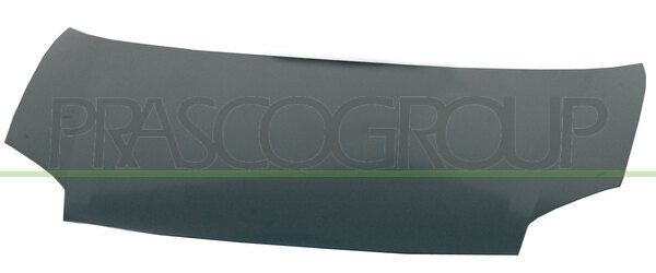 COFANO CITROEN BERLINGO Mod 01/03 03/08