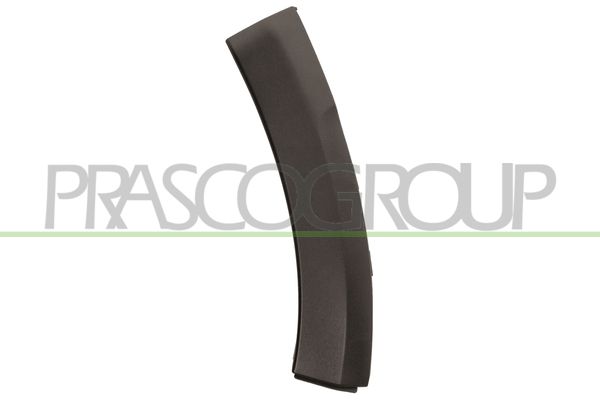 TERMINALE SX PARAURTI ANT-NERO DACIA SANDERO STEPWAY Mod 01/09 12/12