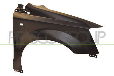 PRASCO Parafango DG0113013