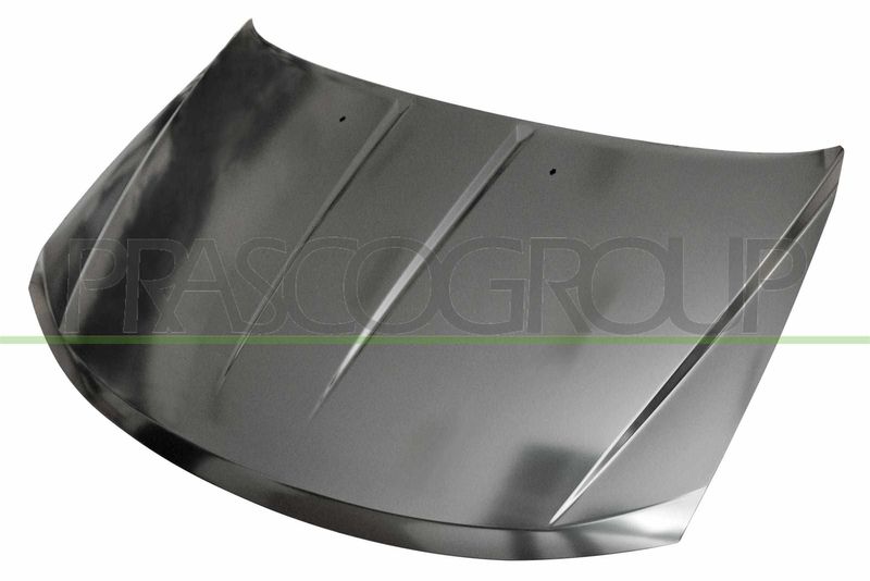COFANO CHRYSLER/DODGE JOURNEY Mod 03/08 12/10