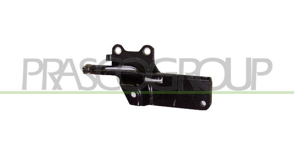 PRASCO Cerniera, Cofano motore DS0073703
