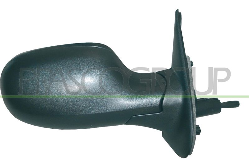 PRASCO Specchio retrovisore esterno DS0117113P