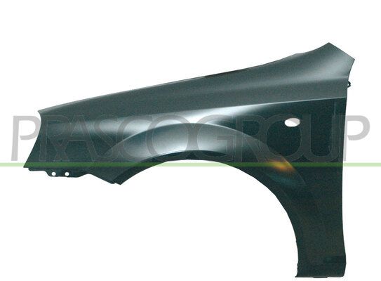 PRASCO Parafango DW0093014