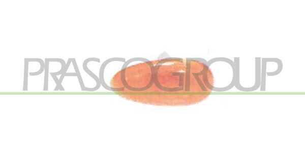 PRASCO Indicatore direzione DW0204039
