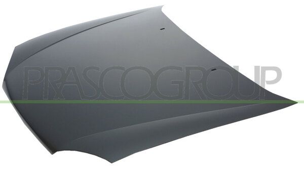 COFANO FORD FIESTA MK IV / COURIER VAN Mod 09/99 03/02