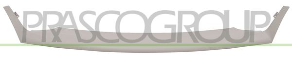 PRASCO Mostrina, Griglia radiatore FD0523222
