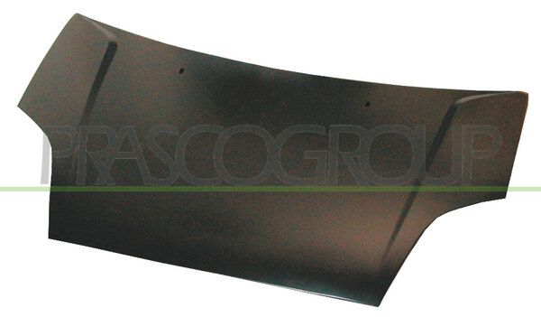COFANO FORD FIESTA MK V Mod 04/02 12/05