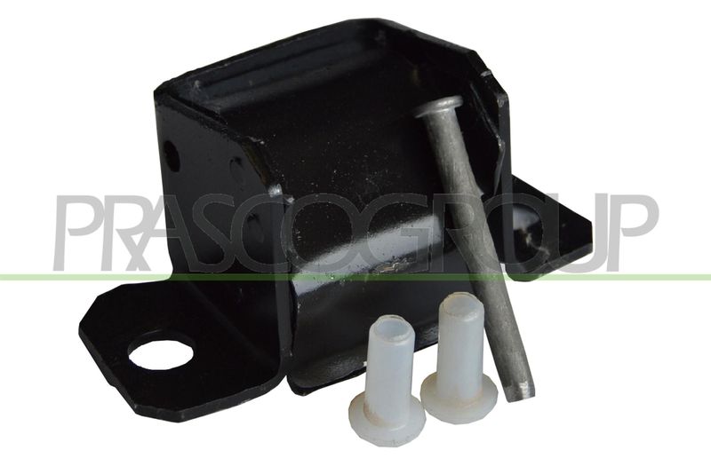 PRASCO Cerniera portiera FT0033700