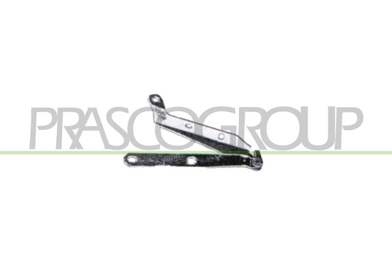 PRASCO Cerniera, Cofano motore FT0173703