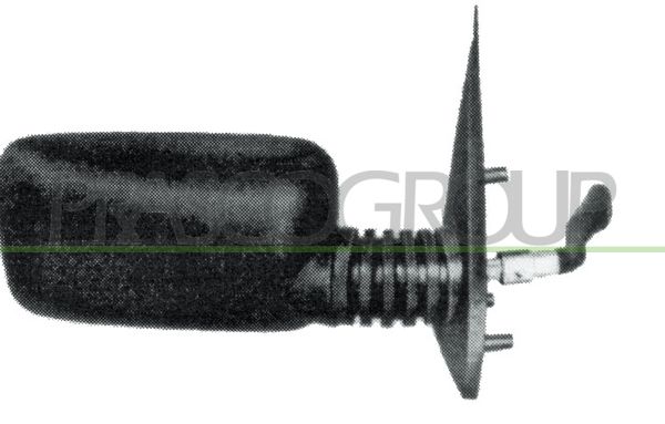 PRASCO Specchio retrovisore esterno FT0177003