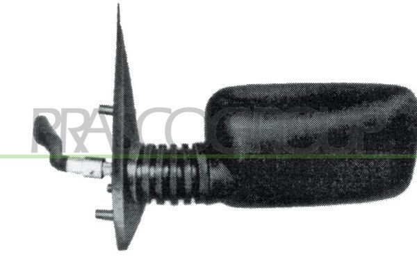 PRASCO Specchio retrovisore esterno FT0177004