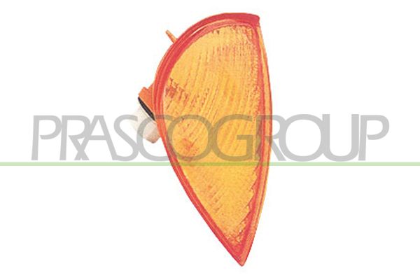 PRASCO Indicatore direzione FT0194003