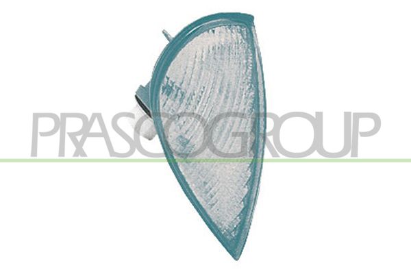 PRASCO Indicatore direzione FT0194013