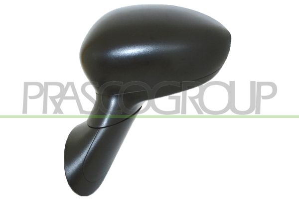 PRASCO Specchio retrovisore esterno FT0307214P