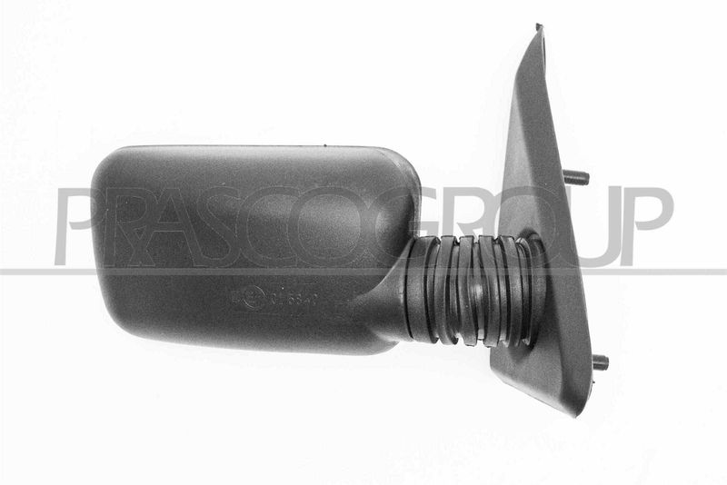 PRASCO Specchio retrovisore esterno FT1217003