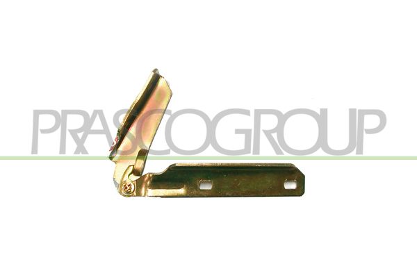 PRASCO Cerniera, Cofano motore FT1293703