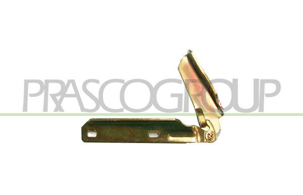 PRASCO Cerniera, Cofano motore FT1293704