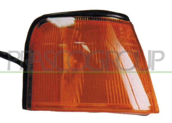 PRASCO Indicatore direzione FT1294005