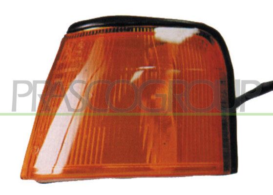 PRASCO Indicatore direzione FT1294006