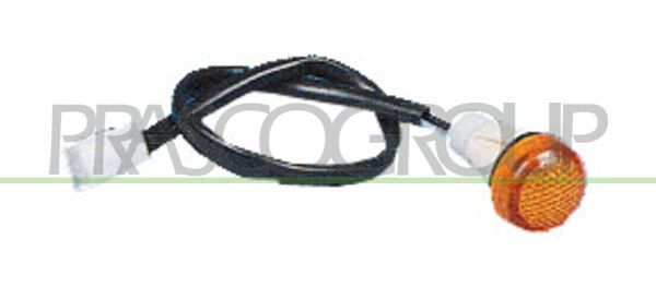 PRASCO Indicatore direzione FT1294039