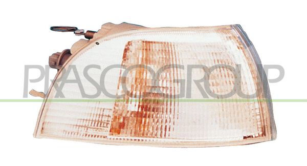 PRASCO Indicatore direzione FT1324013