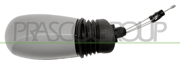 PRASCO Specchio retrovisore esterno FT1337124