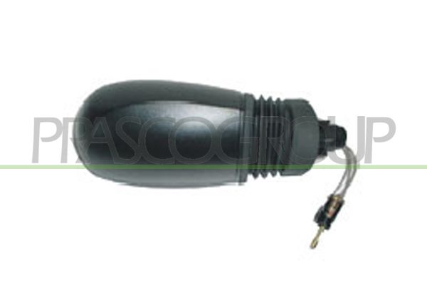 PRASCO Specchio retrovisore esterno FT1337313