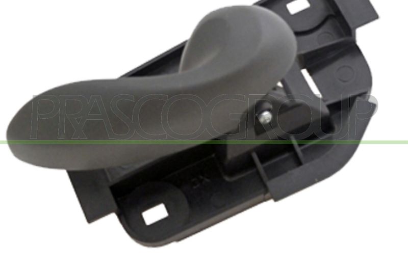 PRASCO Maniglia portiera, Equipaggiamento interno FT1338601