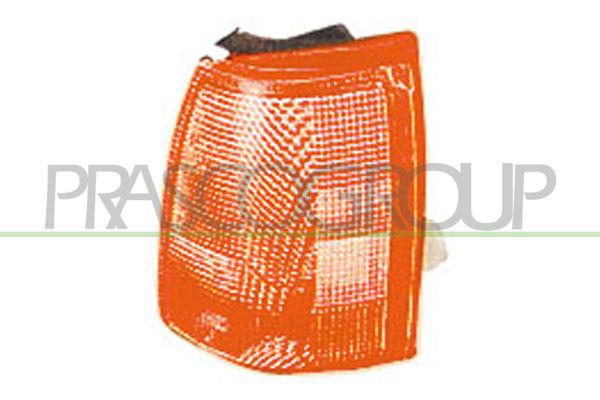 PRASCO Indicatore direzione FT1354003