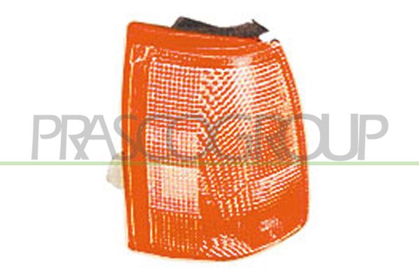 PRASCO Indicatore direzione FT1354004