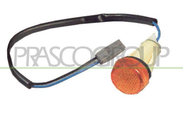 PRASCO Indicatore direzione FT1354039